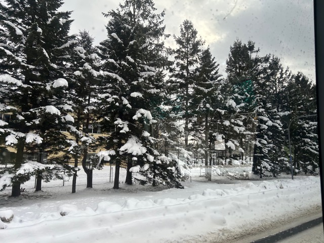 FF818F77FA3EA4BC0E15448F003D4B5F6FEAD399